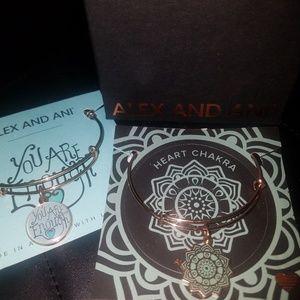 Heart Chakra Alex and Ani bangle